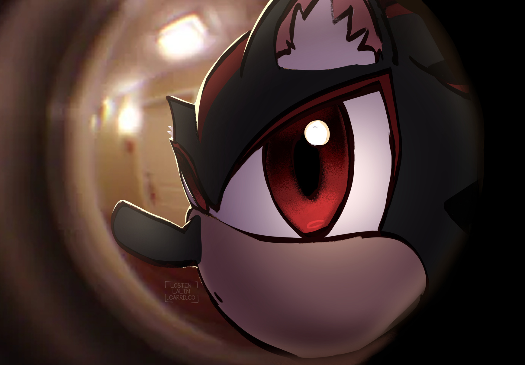 Shadow standing on YOUR amazon package