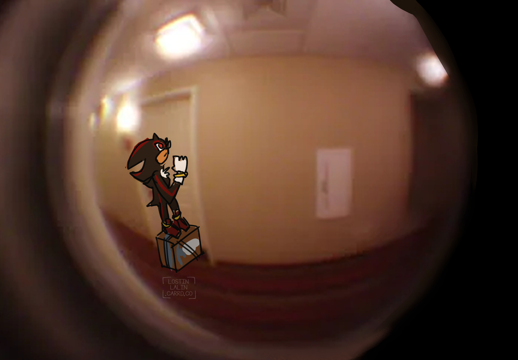 Shadow standing on an amazon package